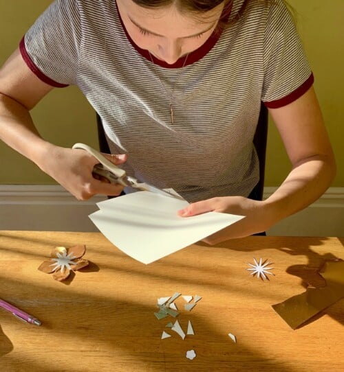 B9ECEFA0-F991-403D-8F13-55B5AD6E4B31_1_201_a